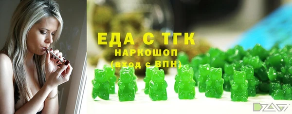 хмурый Тында