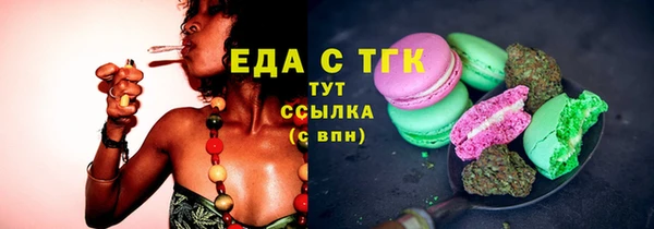 хмурый Тында