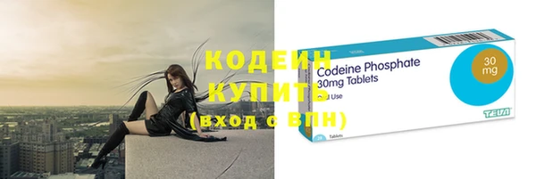 хмурый Тында