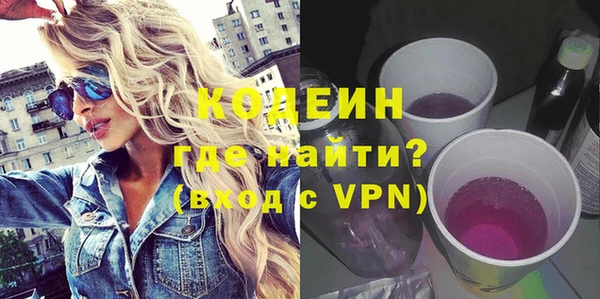 хмурый Тында