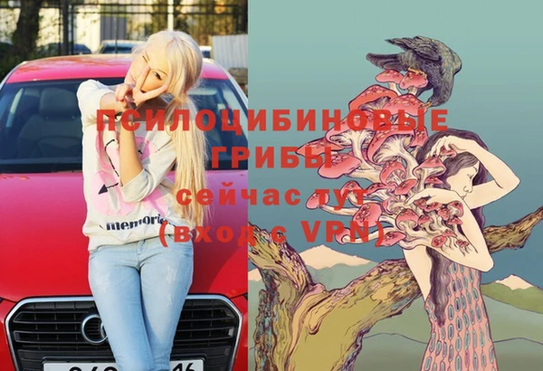 герыч Тутаев