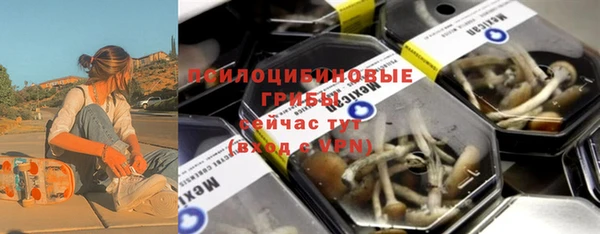 хмурый Тында