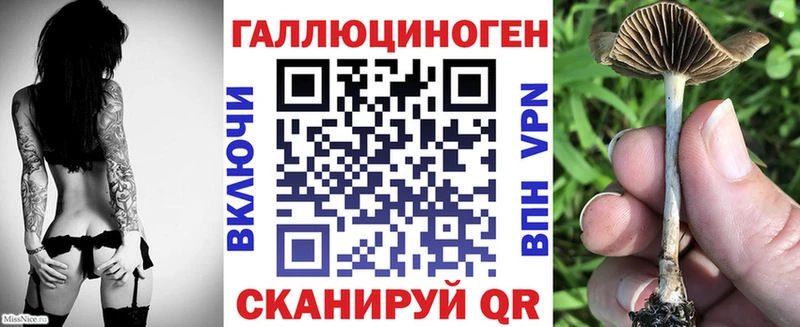 Псилоцибиновые грибы Psilocybine cubensis  даркнет сайт  Харовск 