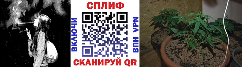 Канабис VHQ  где найти   гидра ссылка  Харовск 
